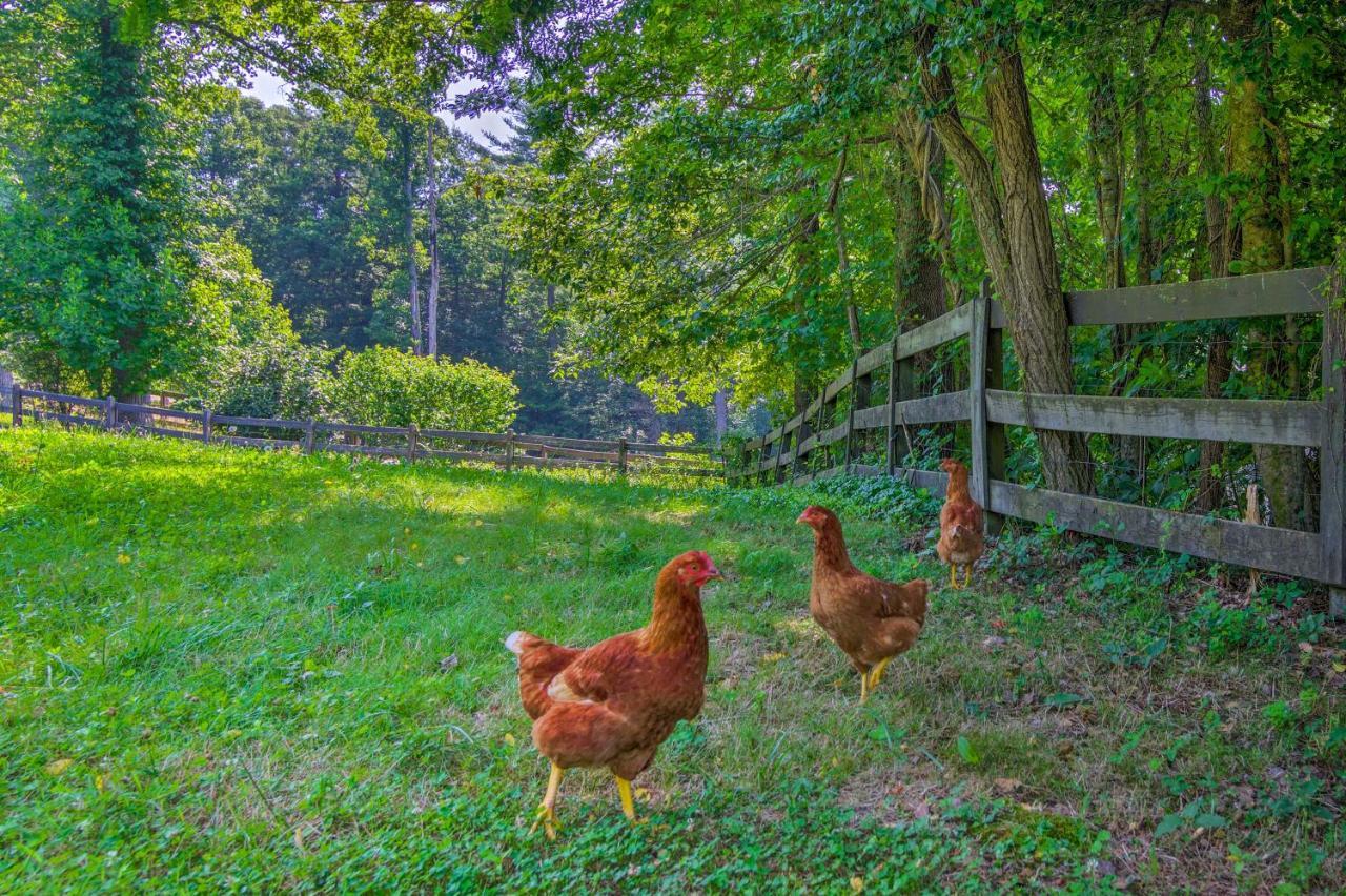Rustic Hendersonville Farm Studio With Private Deck Exterior foto
